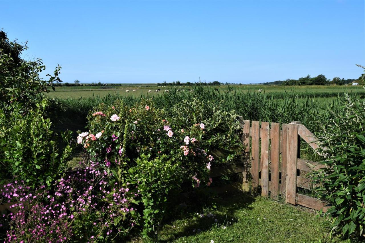 Wadden Eiland Bed En Breakfast Op Texel Oudeschild Dış mekan fotoğraf